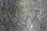 Ilchester Mead fibreglass roof work